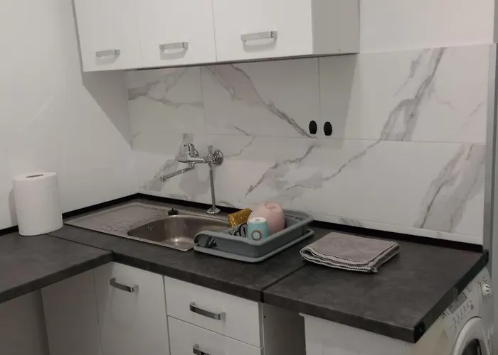 Self Check-in Apartament Lotnisko Szpital Parking Targi Poznań